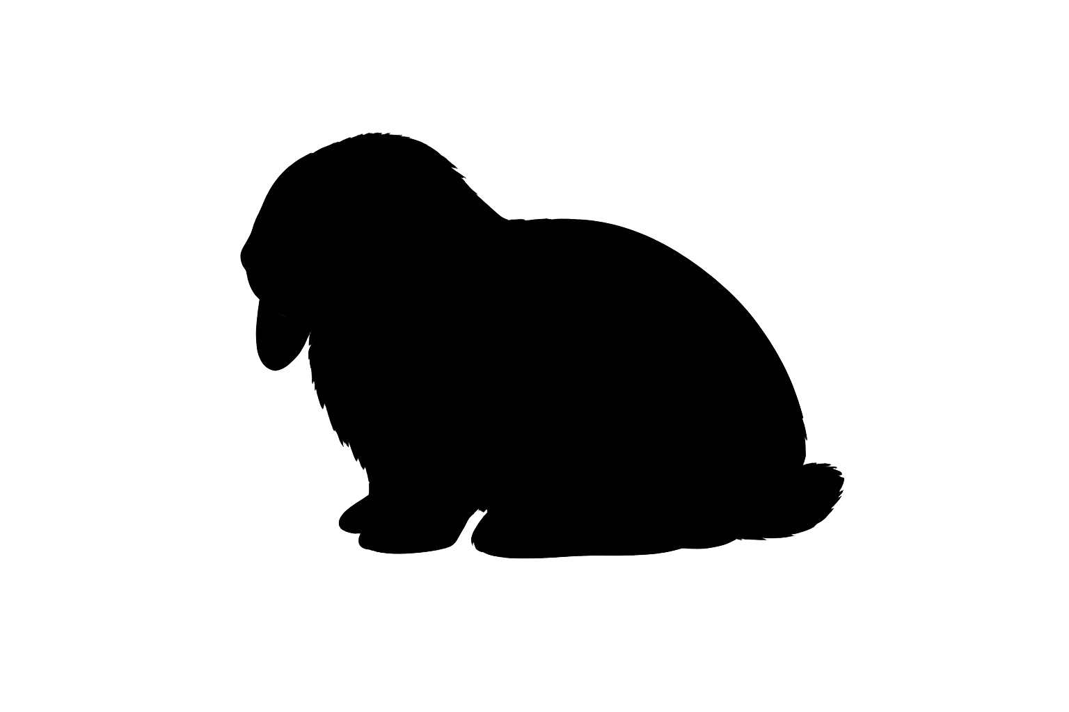 Zwergwidder blau